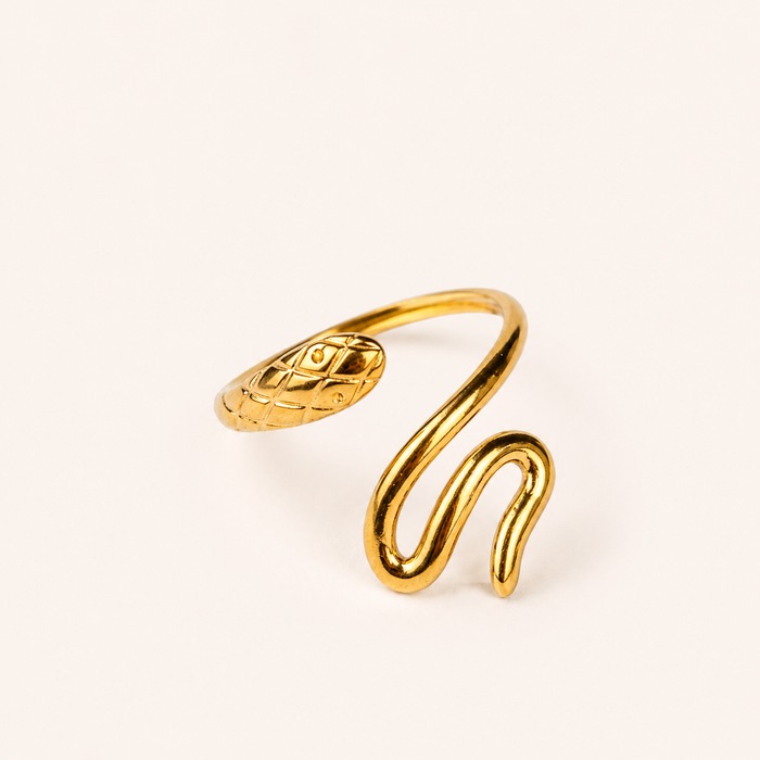 Nubia Ring